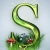 seguire / seguire