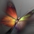 دلسا / delsa