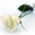 یگانه / fardad48