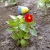 NAVID_11