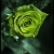 maryam / M_H_A