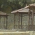 yasayar