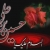 yasna / yasna_95