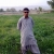 hamed / khoee