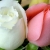 sadaf / nilofar563