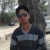 همشاد