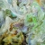 زهره / zohrehjun