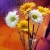 hafez