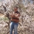 آرش / ashel