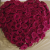 رضـــــ__ـــــ_ـا............... / ghreza