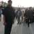 mahmoud / mahmoudaf