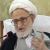 محسن شفیع زاده / sunonline