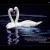SHAHLA / 12345678