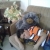mohamad falah / bigshow