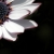 غریبه / zang