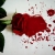 نغمه / eshgh