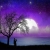 omid