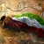 alireza sadeghi