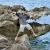 majid / majid20