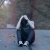 davood / davood61