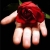 روح الله / aghigh