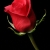 تهورا 28