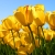 mohammad / m_yousefi1362