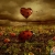 سعیده / yasamin68