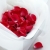 ghazal