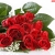 مهسا / azeta
