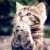 الهه / elahe7
