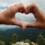fardin