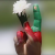 choroo_shekan / moha_mmad