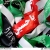 سیدامیرحسین