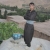 کاک میثم