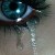Nafise / nafas428