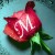 آرش ساعد / memosh