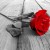 Farhad