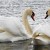 photo / photoo