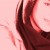 Mahshad Mahalati / Mahshad_Mahalati