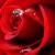 آفتاب تابناک / aftabi