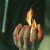 ᄊﾑ尺ﾉﾑ   ツ / _Maria-