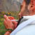 داتیس / ali12354