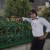 Alireza