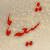 شیعه ها / shiaha