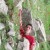 alireza badizadegan / alireza_badizadeg...